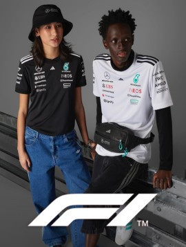 Formula 1