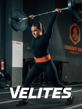 Velites