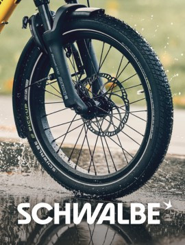 Schwalbe